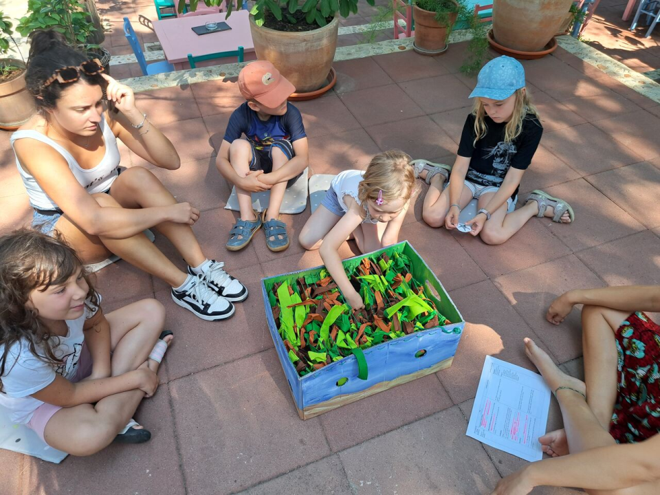 Agronautine Eko-srijede: Edukativne radionice za djecu i mlade na Murteru 