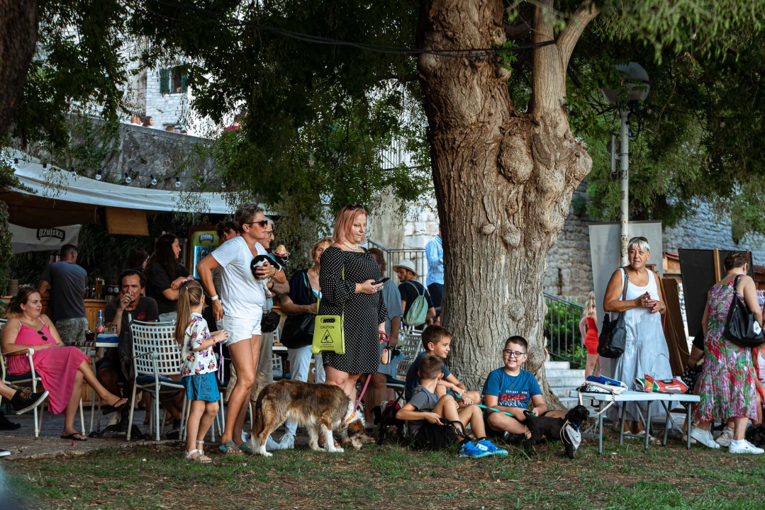Šibenske šape rođendan proslavile izložbom pasa, tombolom i kvizom