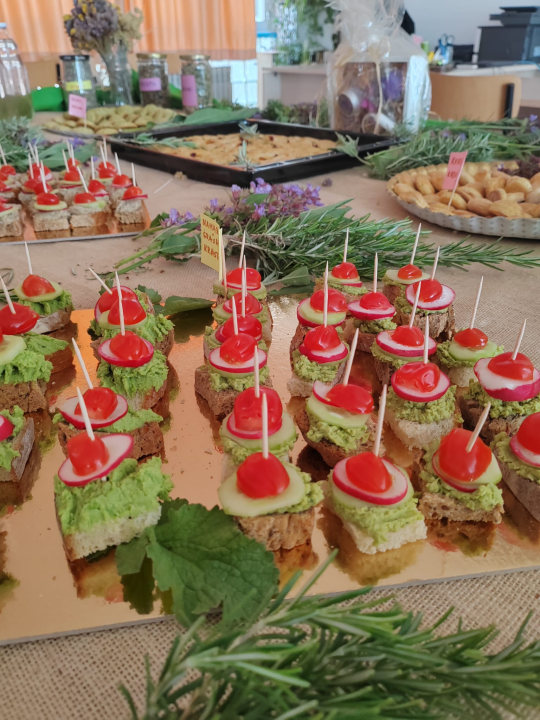 Kninski srednjoškolci u školskom vrtu uzgajaju povrće od kojeg prave namaze