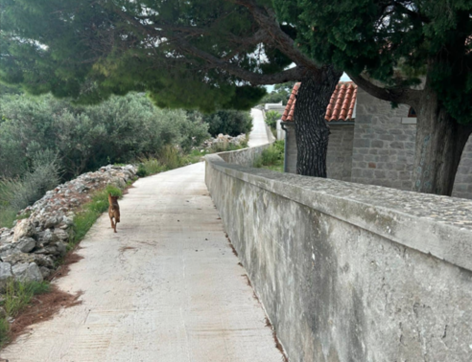 Uređenje šetnice na otoku Kapriju ide dalje: Grad Šibenik ugovorio radove vrijedne 76.404 eura