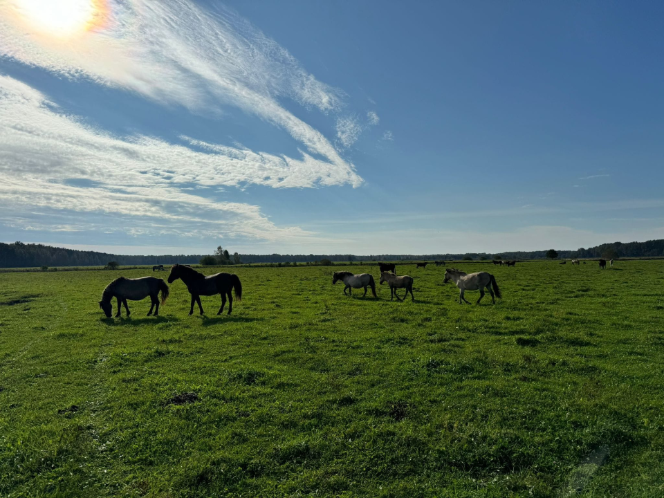 Predstavnici NP 'Krka' posjetili latvijske nacionalne parkove