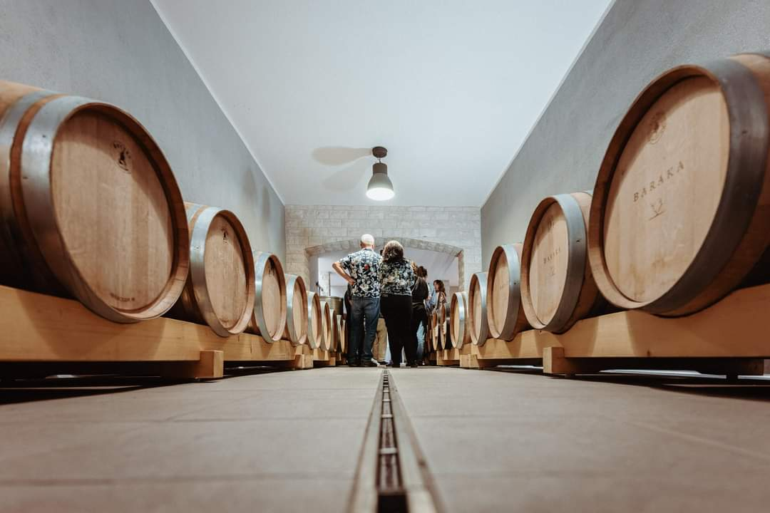 Jesenske delicije u vinariji: Marendavanje u vinariji Baraka nadomak Šibenika