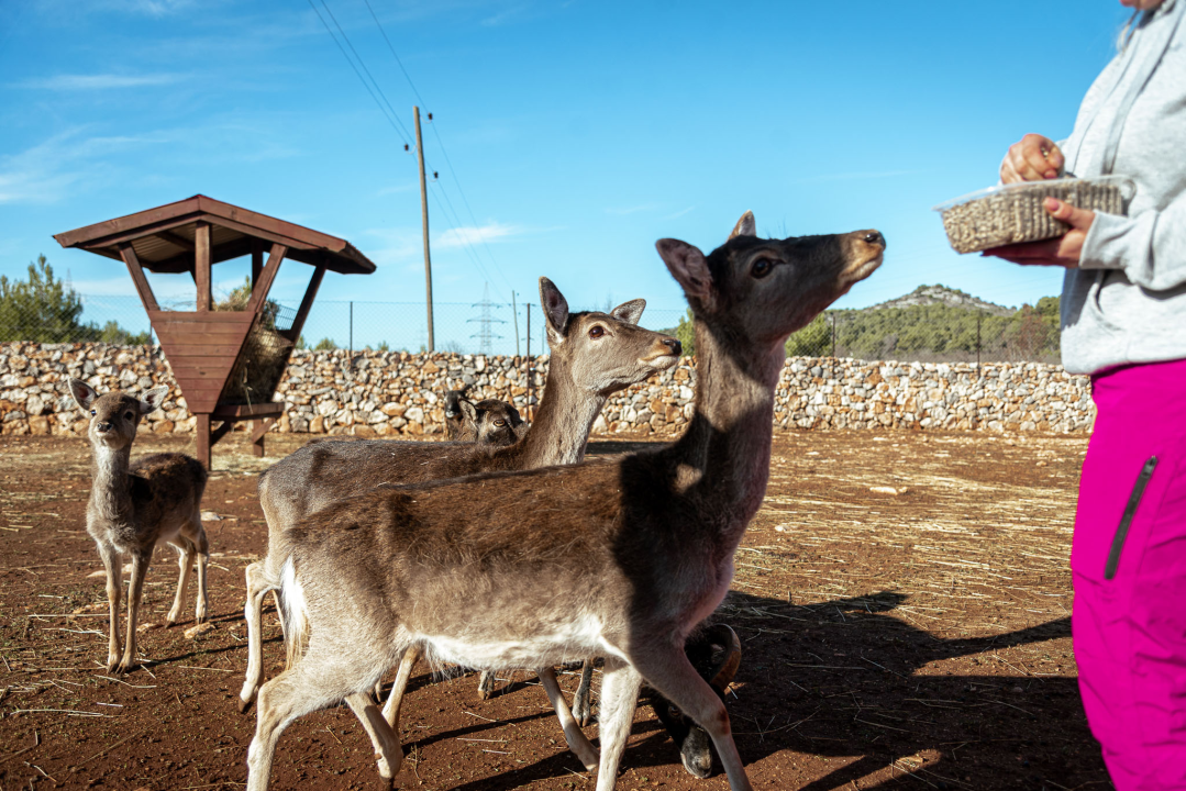 Jelena, Nina i Srećko oduševe svakoga tko posjeti Happy Horse u Dubravi