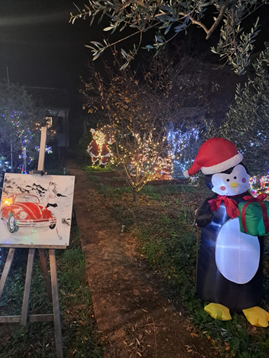 Božićni vrt obitelji Vlahov oduševljava: Blista s 27 tisuća lampica