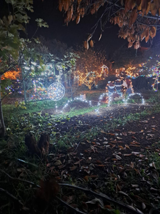 Božićni vrt obitelji Vlahov oduševljava: Blista s 27 tisuća lampica