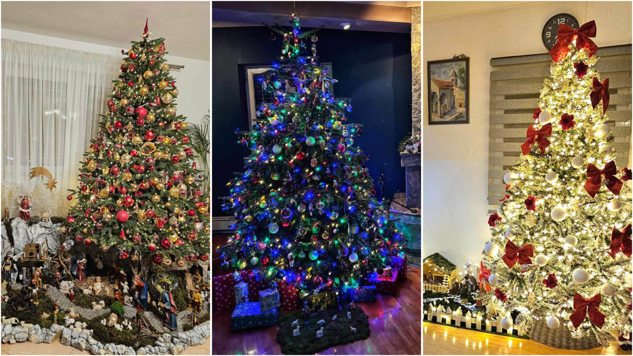 Provjerite tko su pobjednici izbora za naj jelku!