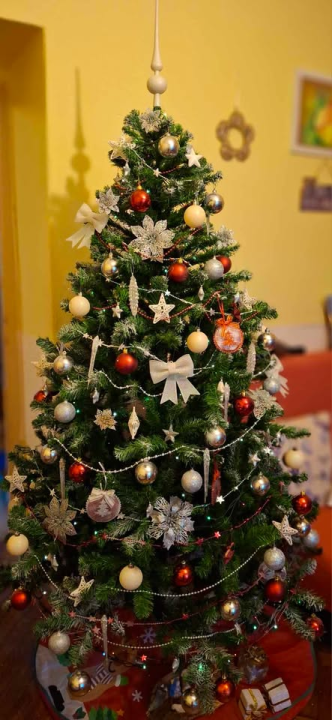 Provjerite tko su pobjednici izbora za naj jelku!