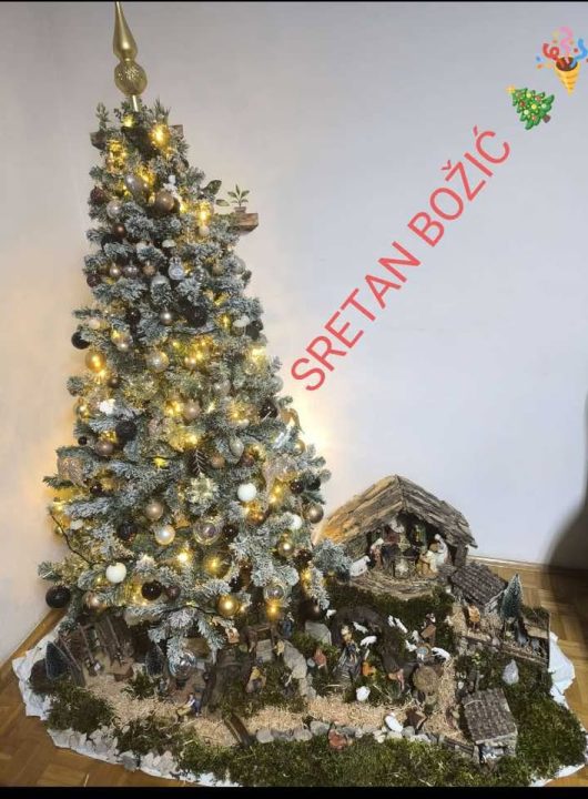 Provjerite tko su pobjednici izbora za naj jelku!