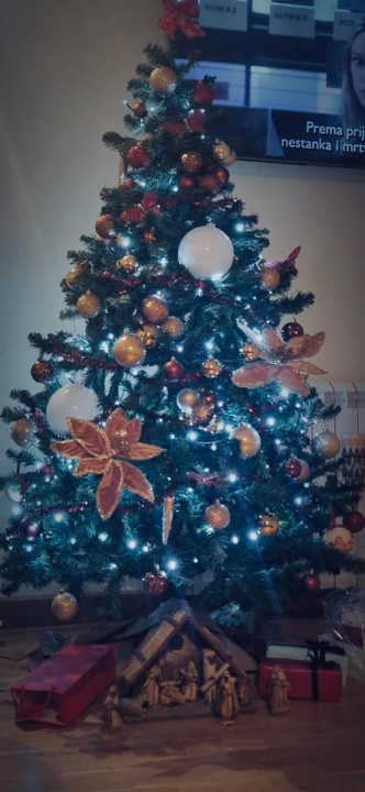 Provjerite tko su pobjednici izbora za naj jelku!