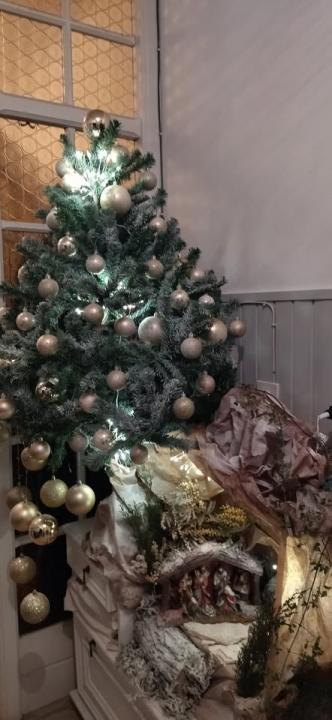 Provjerite tko su pobjednici izbora za naj jelku!