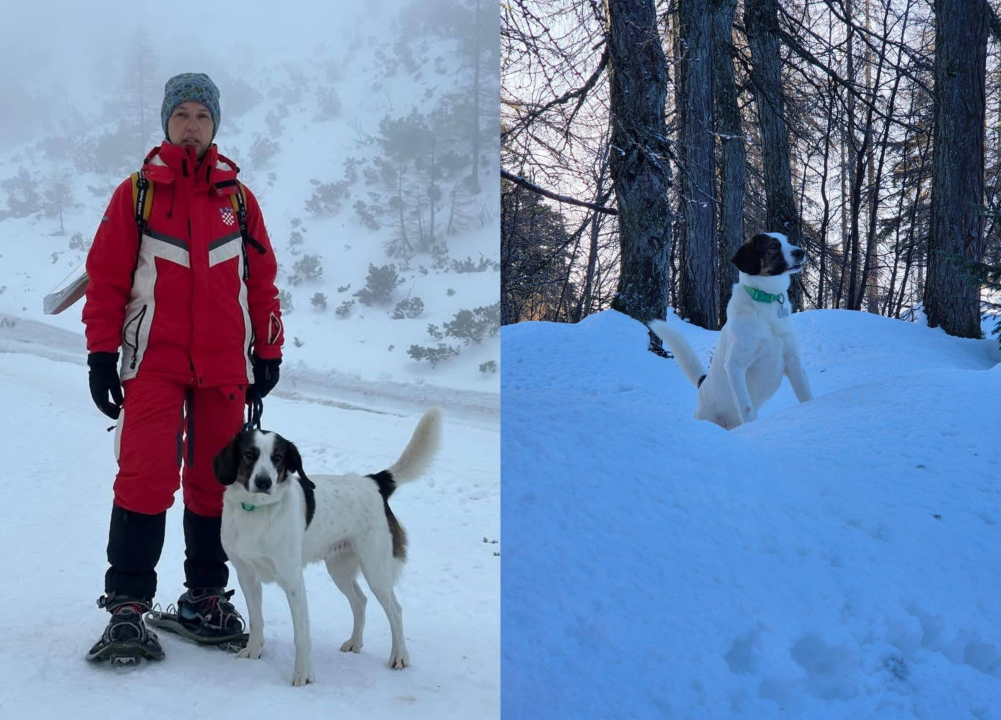 Od odbačenog šteneta do potražnog psa