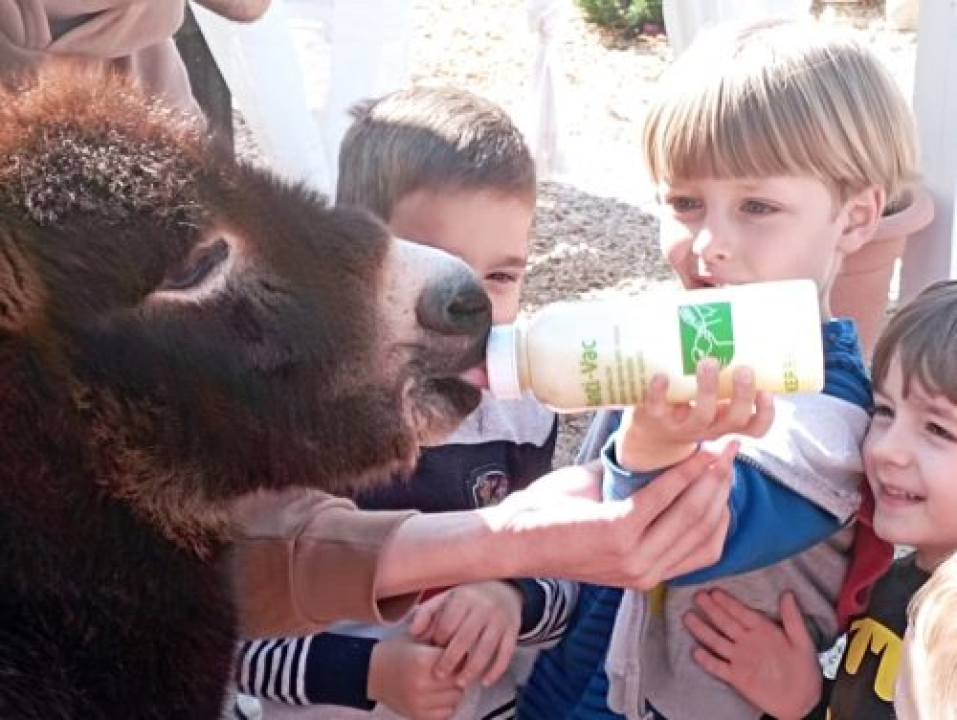 Ivana Šimac Mehić bila je 22 godine medicinska sestra, a sada je uspješna i sretna poduzetnica na svom OPG -u 