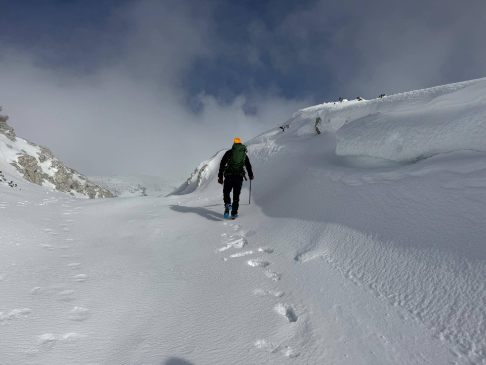 Anđelo Zorica oduvijek je znao da će biti veterinar