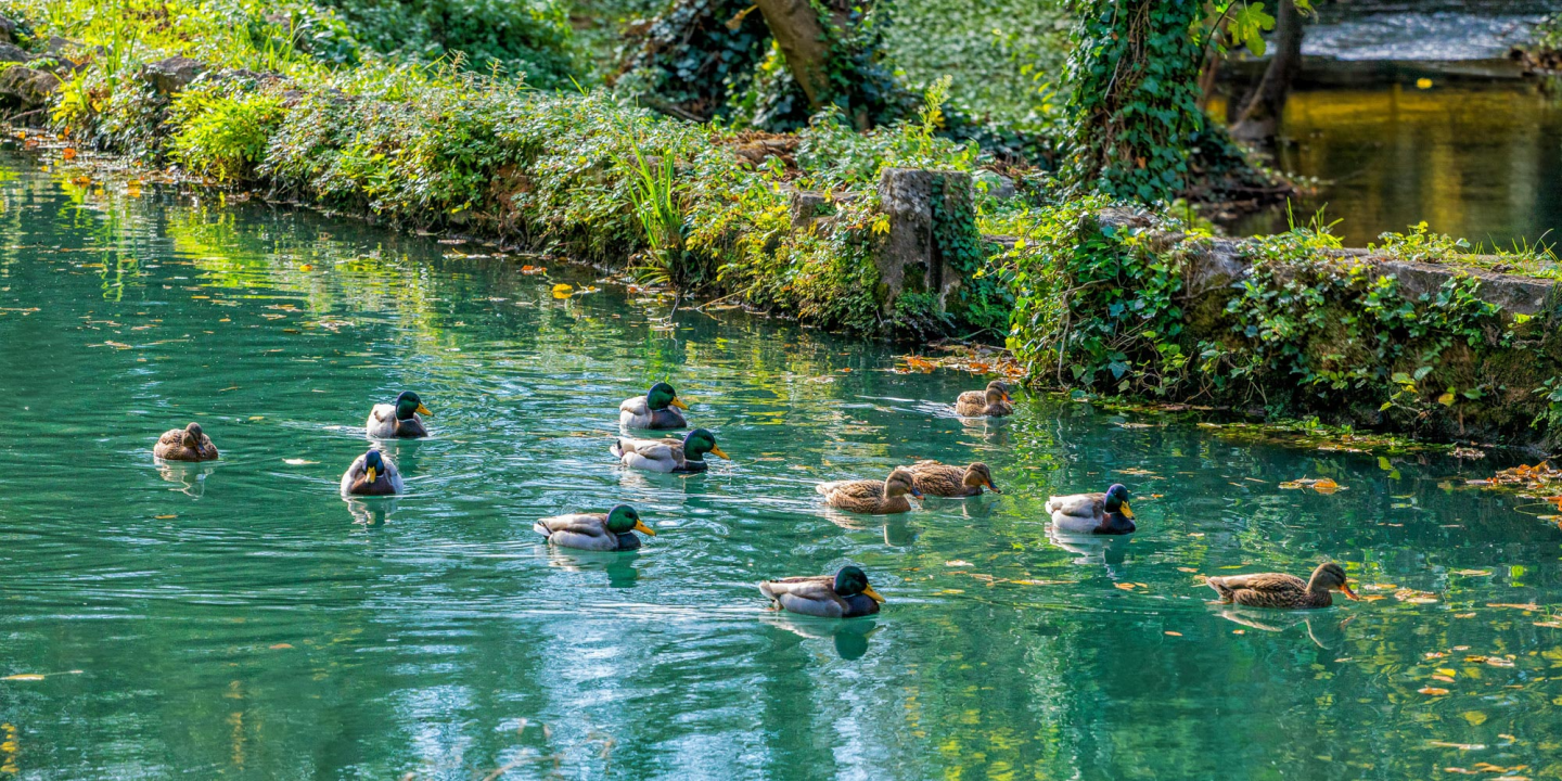 FOTO: Dočekajte proljeće u Nacionalnom parku „Krka“ po cijeni ulaznice od 7 eura