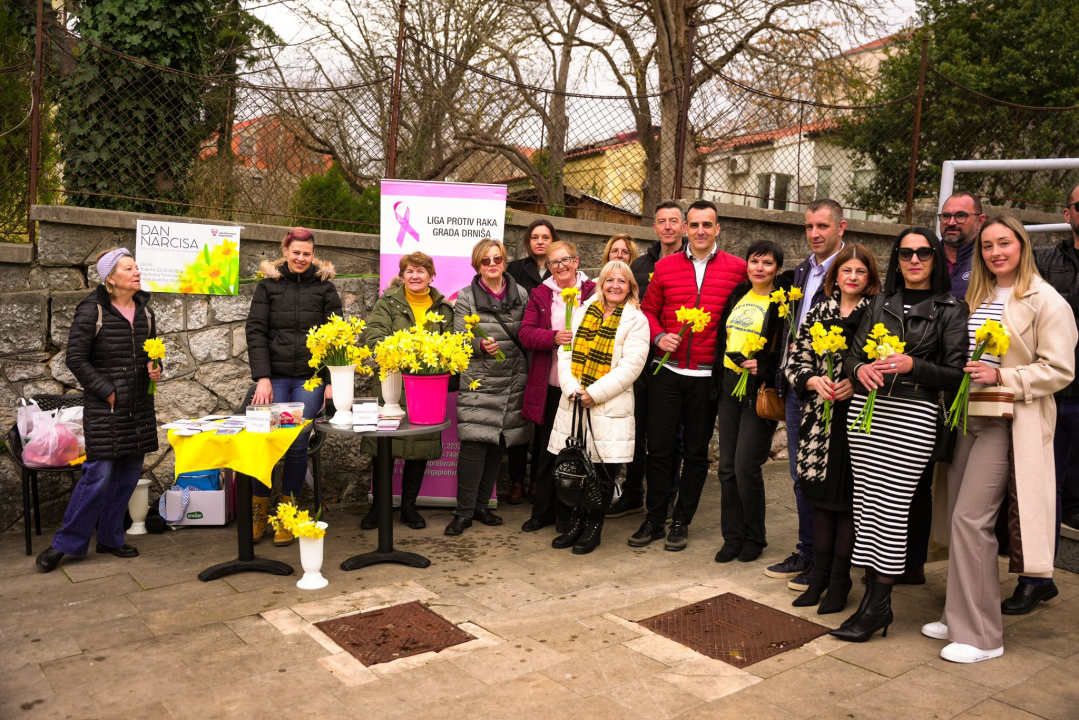 Dan narcisa obilježen u Drnišu i Oklaju