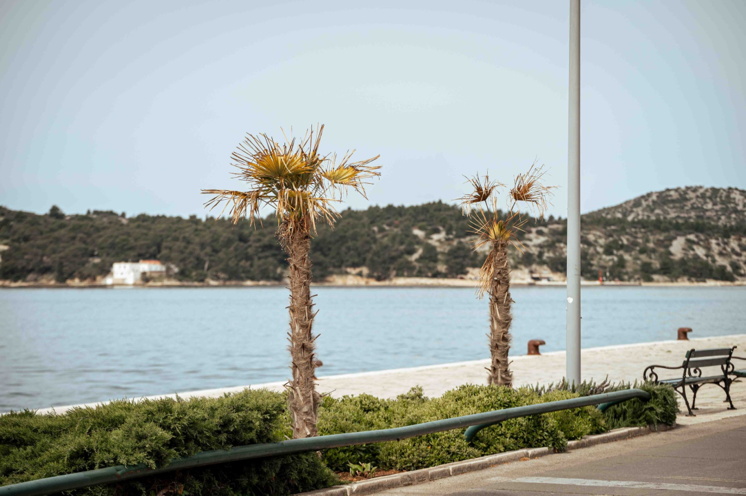 Unatoč stalnom 'napadu', obrana protiv Palmine pipe u Šibeniku ne posustaje