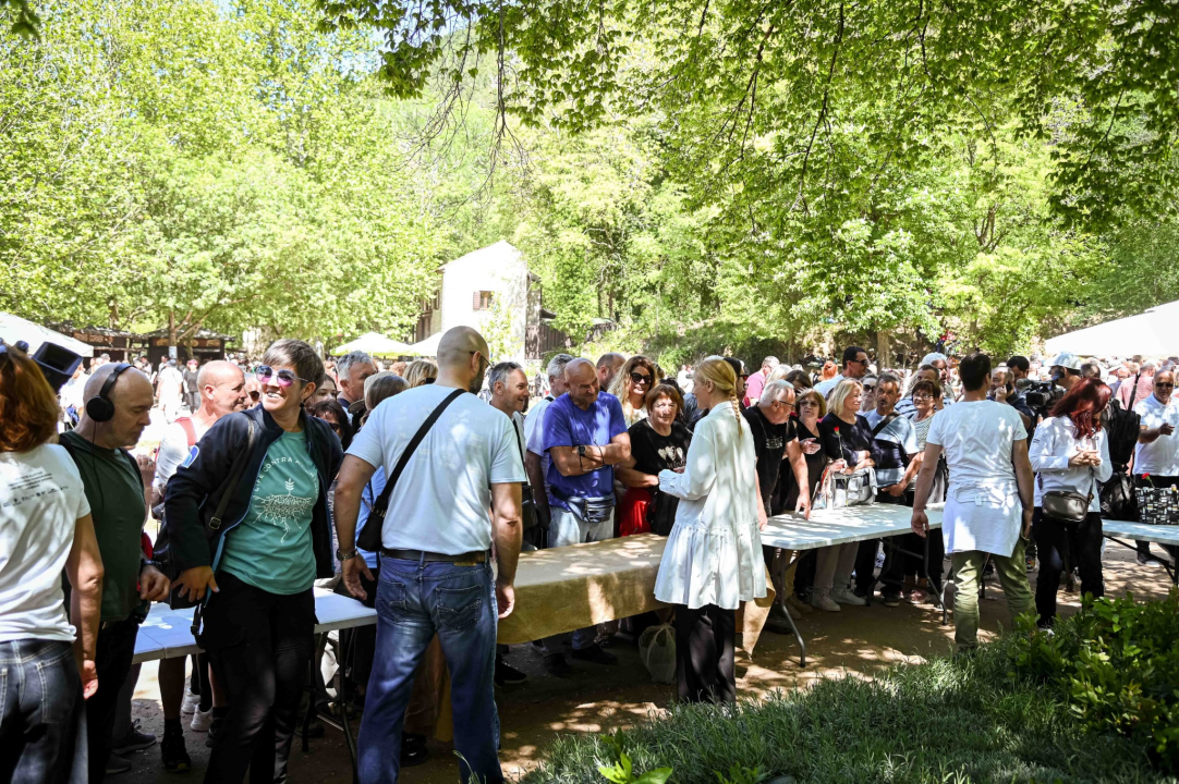 FOTO Podijeljeno 1500 sadnica lavande, mirte i lovora: Akcija ‘Rastemo zajedno’ treću godinu zaredom u NP Krka