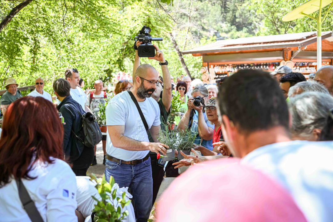 FOTO Podijeljeno 1500 sadnica lavande, mirte i lovora: Akcija ‘Rastemo zajedno’ treću godinu zaredom u NP Krka