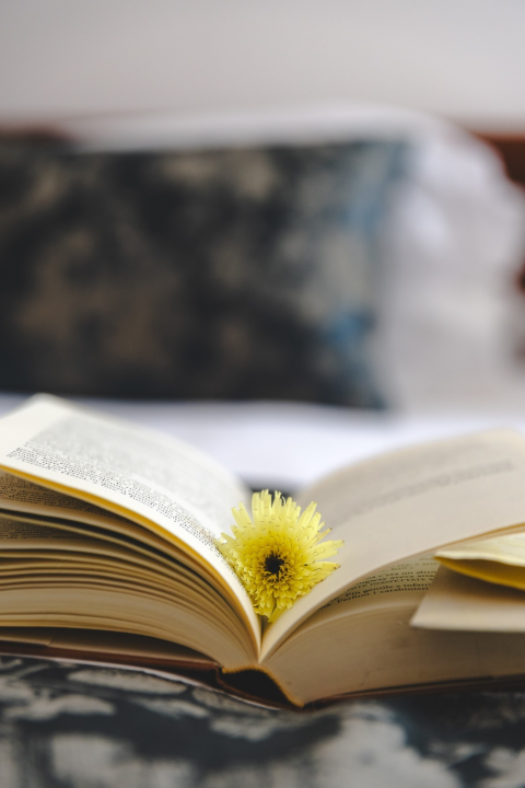 FOTO: Hotel Tisno: Obiteljska vizija koja baštinu pretvara u doživljaj