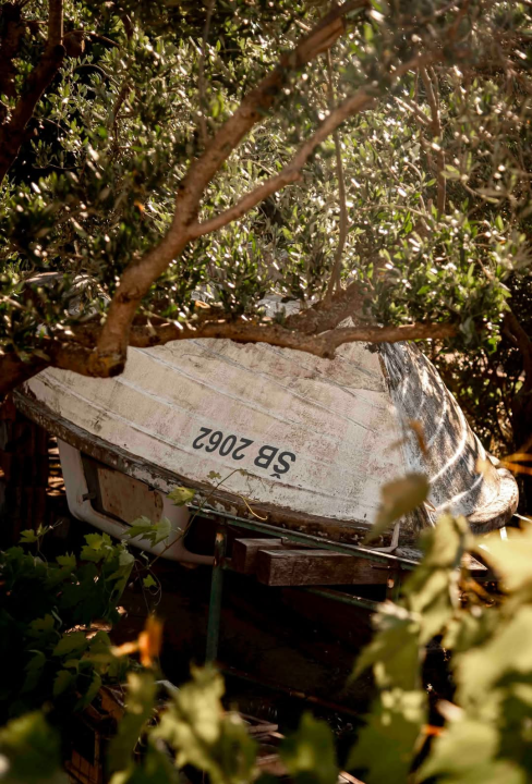 Donje Ražine – ogledalo šibenske industrijske prošlosti