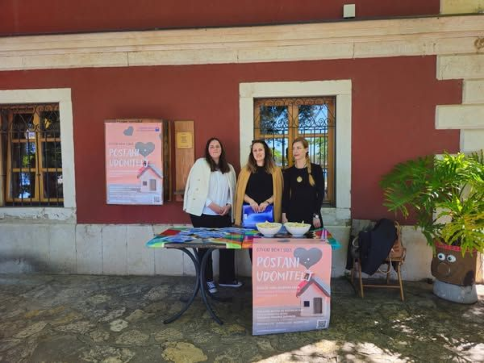 Nacionalni dan udomiteljstva