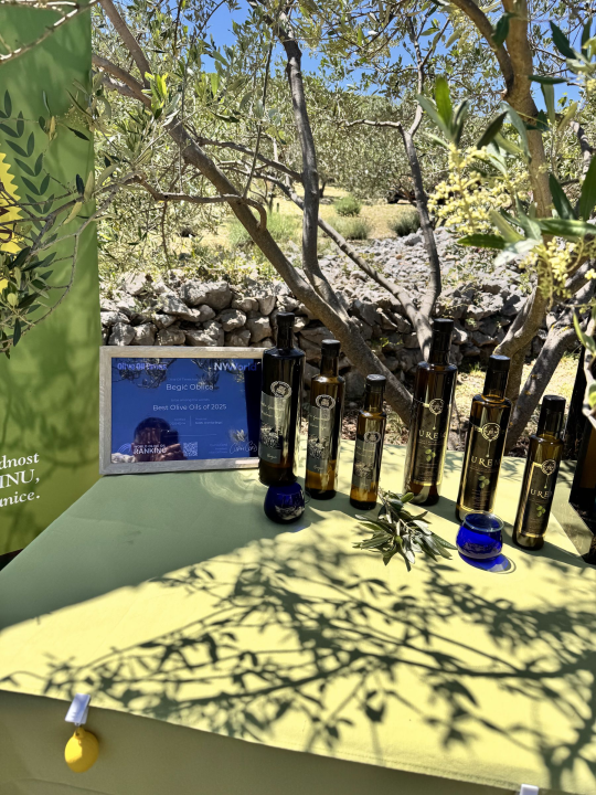 Pirovačka Udruga 'Uljanica' proslavila vrijedna međunarodna priznanja