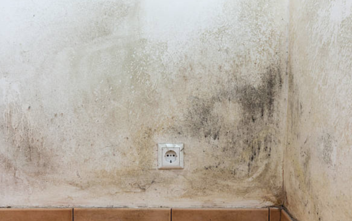 FOTO Iskoristite 30 posto popusta i trajno se riješite vlažnih zidova i plijesni uz vrhunsku ventilaciju!