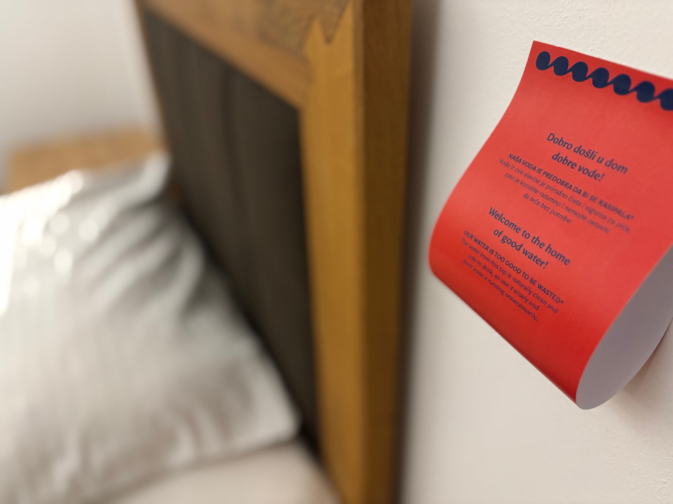 FOTO Znate li što naši turisti prvo pitaju Google? 