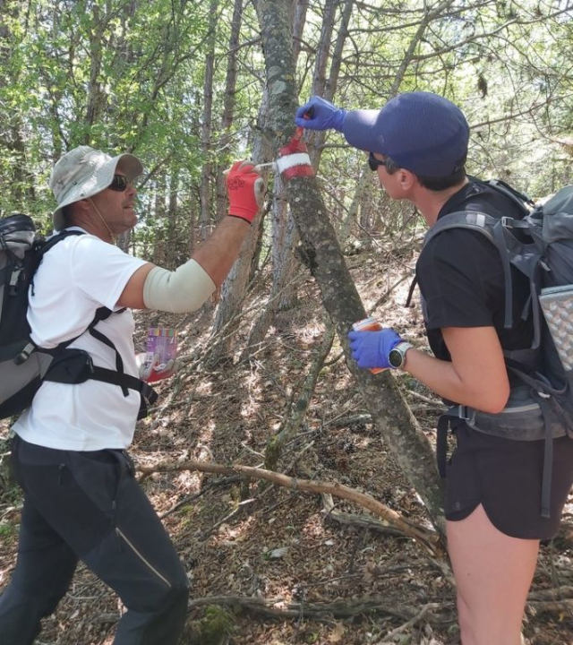 'Mihovilci' obnovili markacije na Kijevskom Kozjaku