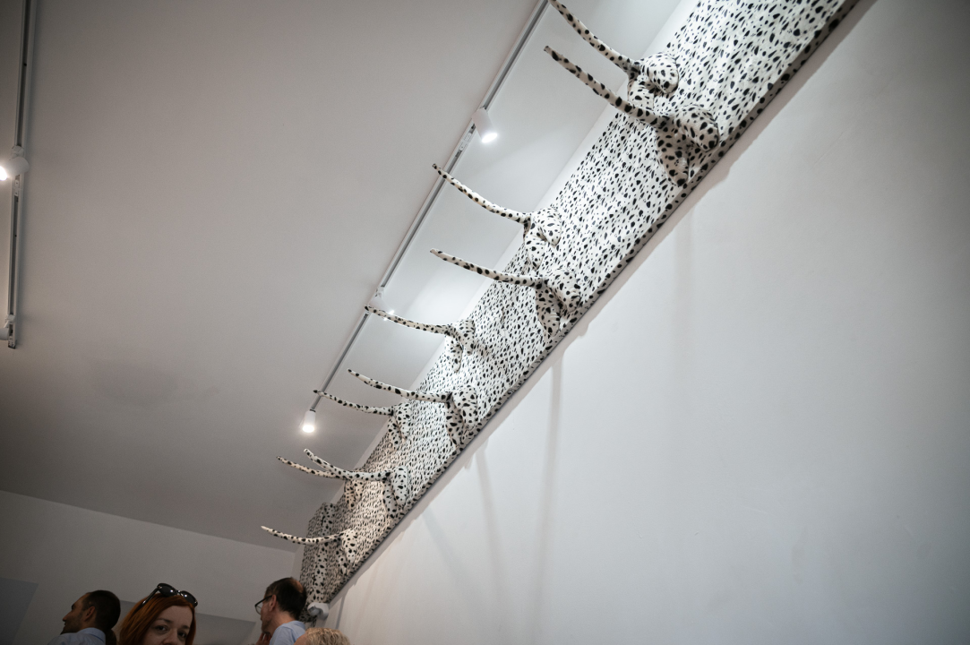 Otvorena Kuća dalmatinskog psa