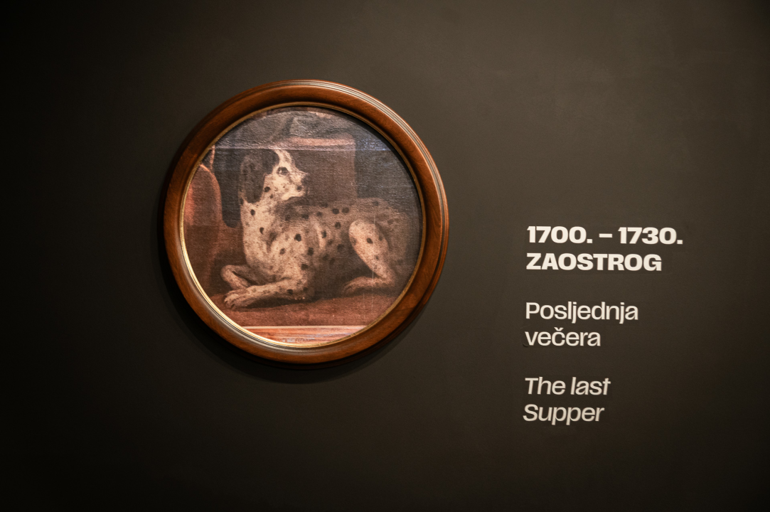 Otvorena Kuća dalmatinskog psa