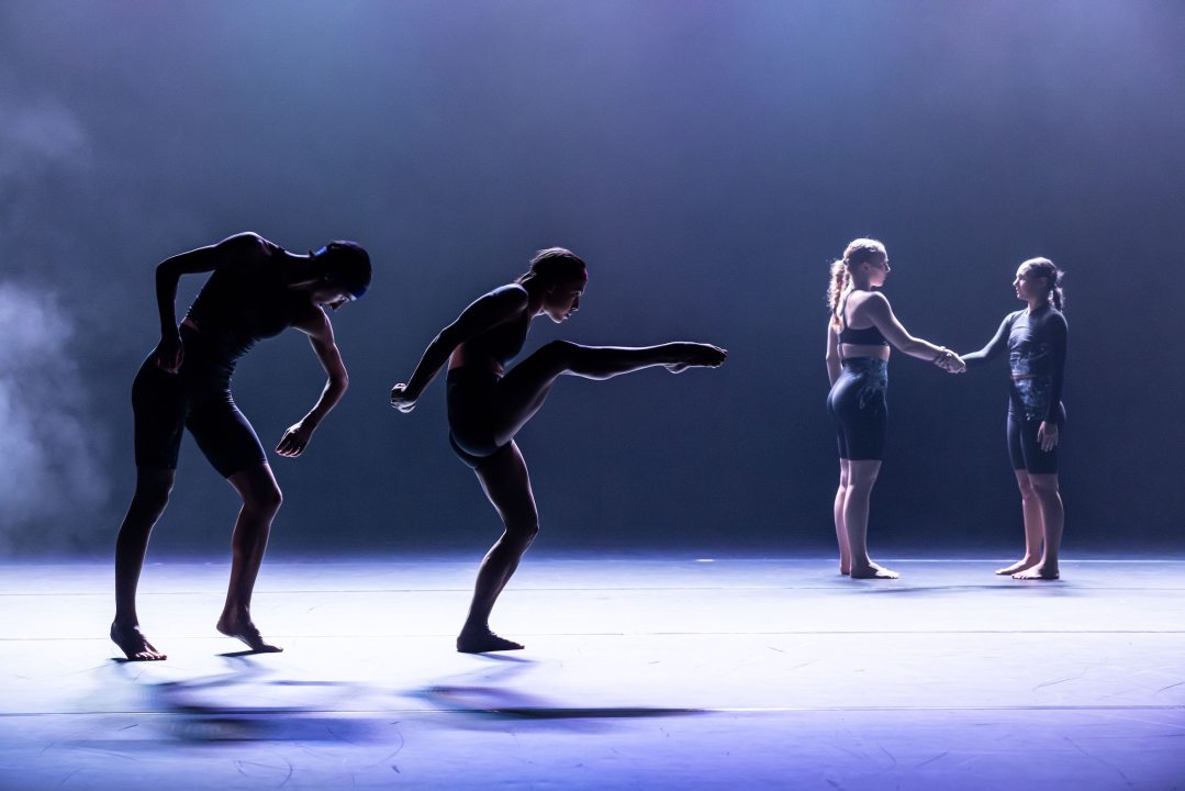 Suvremeni ples pod otvorenim nebom: Danas počinje Šibenik Dance Festival 