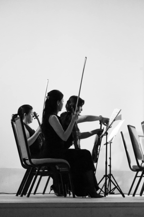 Koncert u Amadria parku