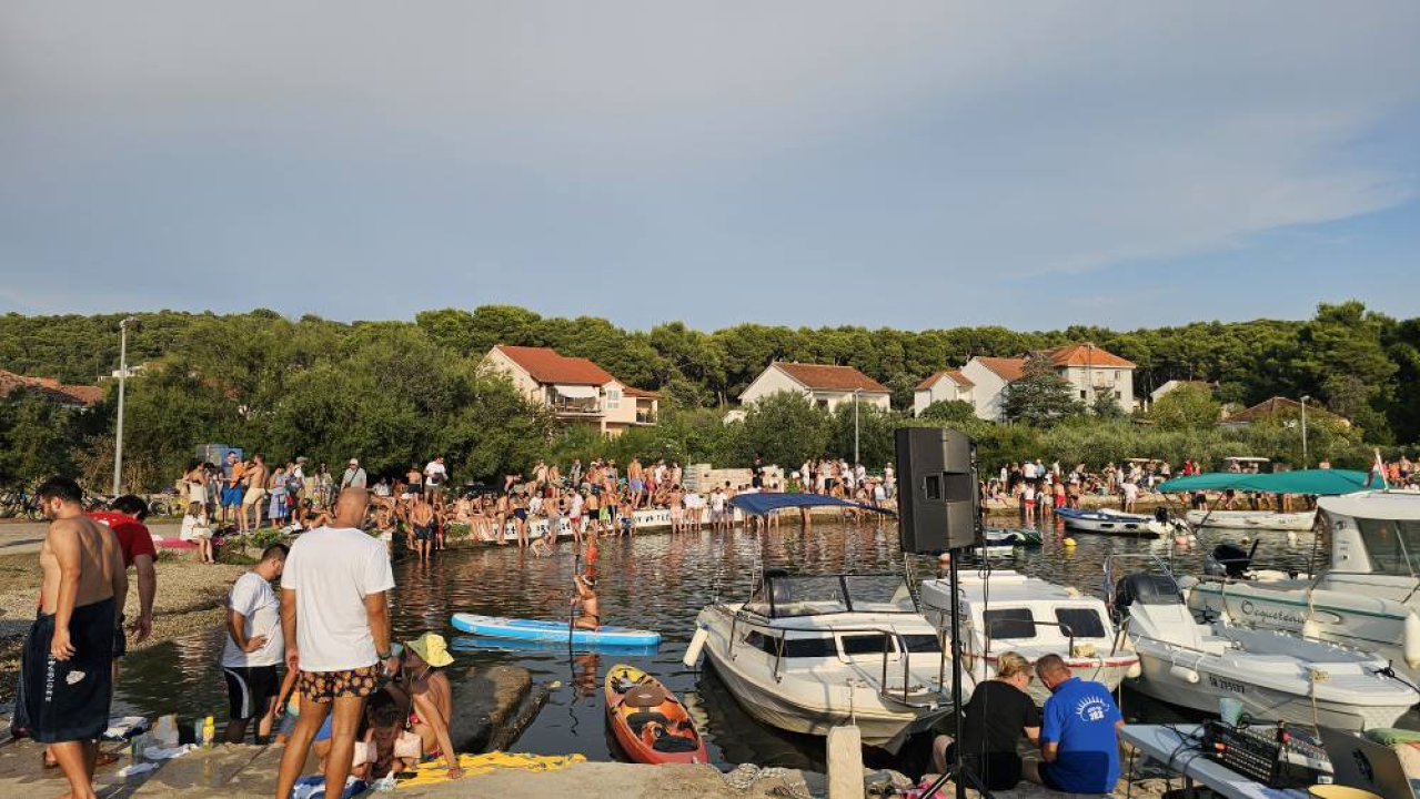 Lov na ciple na teću