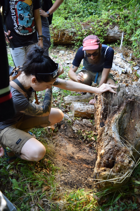Mladi čuvari prirode okupili se u NP Krka na edukativnoj radionici