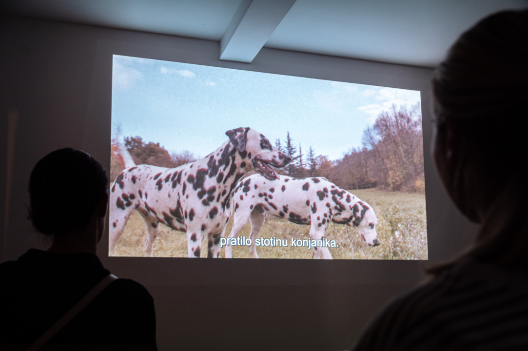 FOTO Istražili smo što donosi jesen u staroj jezgri grada!