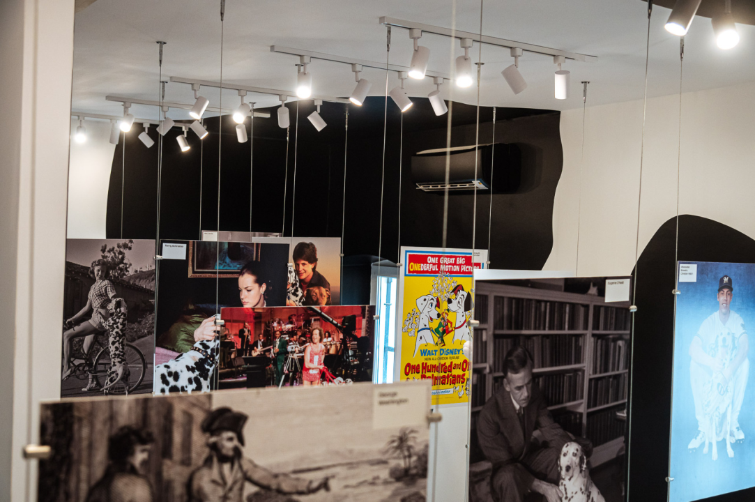 FOTO Istražili smo što donosi jesen u staroj jezgri grada!