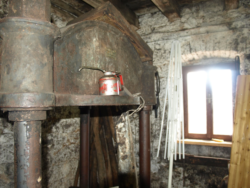 Zlato Kruševa i ponos Primoštena: Uljarske priče i spiza koja je othranila generacije