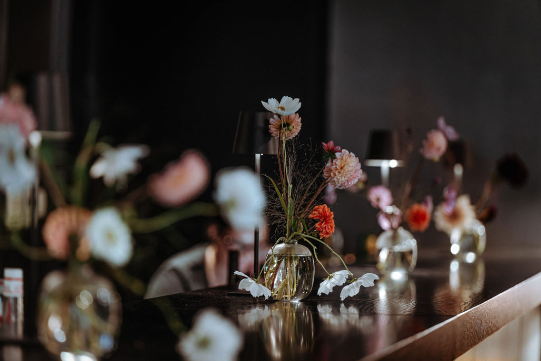 Amira Medunjanin otvorila novu sezonu u Kući umjetnosti Arsen, publika ju nagradila dugotrajnim pljeskom