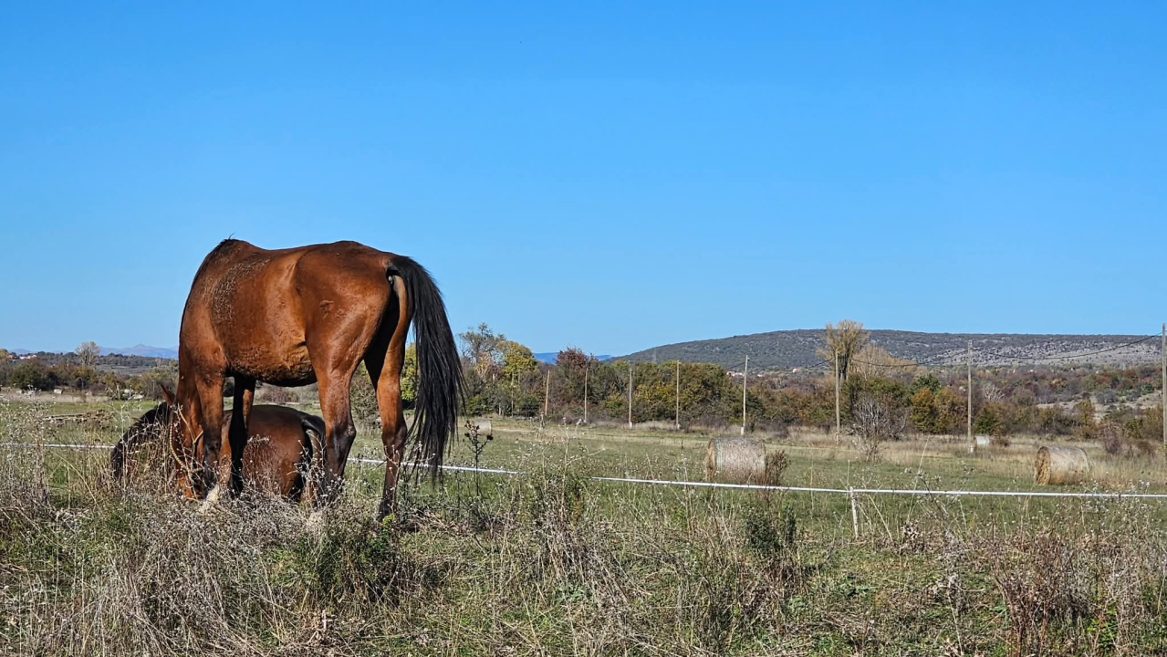 Drniško zaleđe u jesenskim bojama