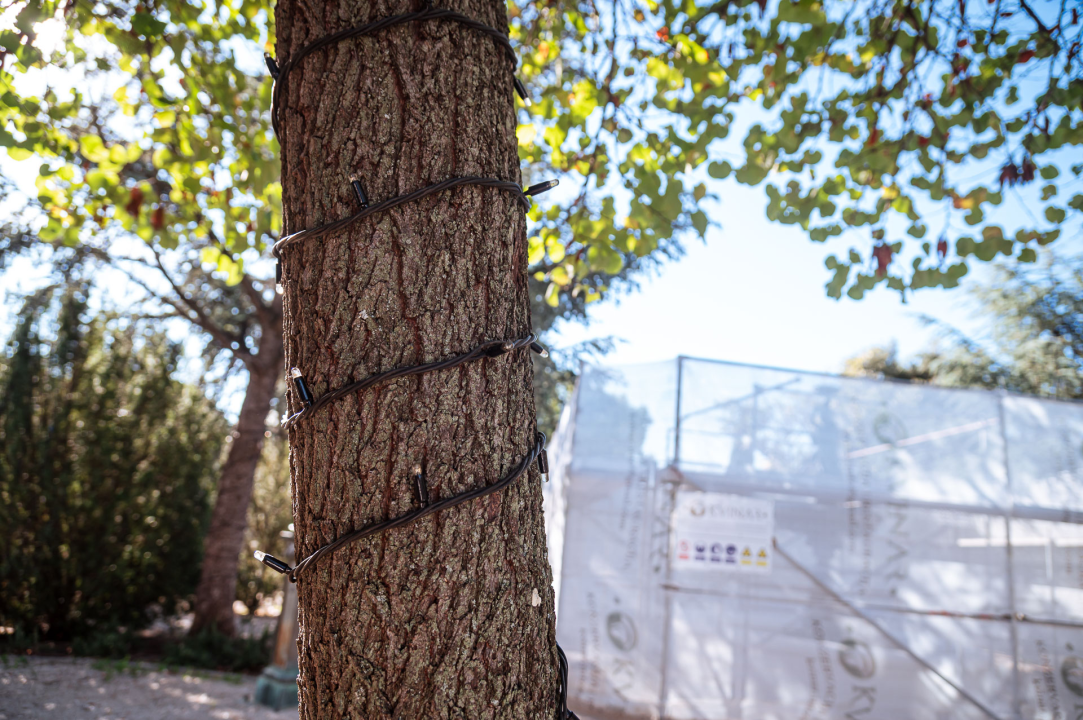 Božićni ukrasi postavljeni po Šibeniku: Još ne svijetle, ali podsjećaju da su blagdani sve bliže
