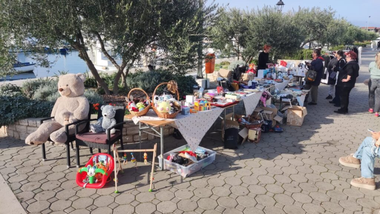 Pirovački buvljak za sterilizaciju i kastraciju mačaka