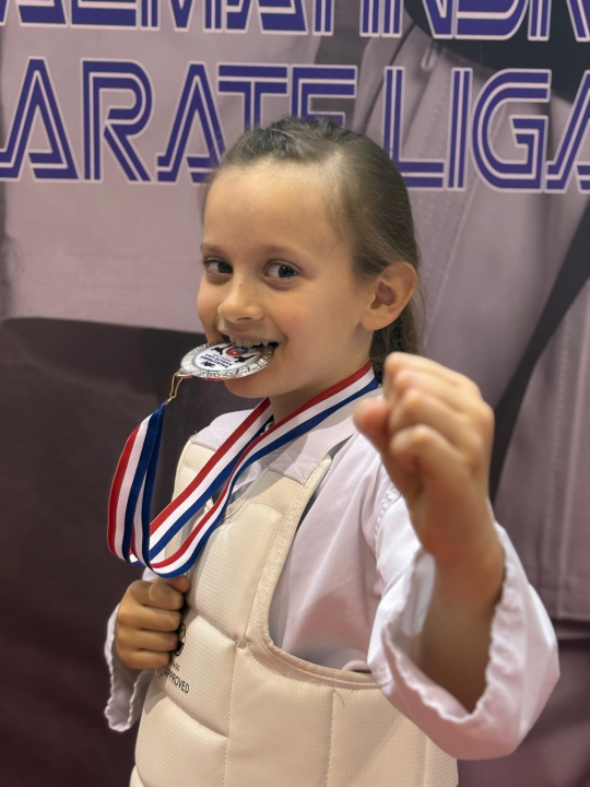 Dalmatinska karate liga