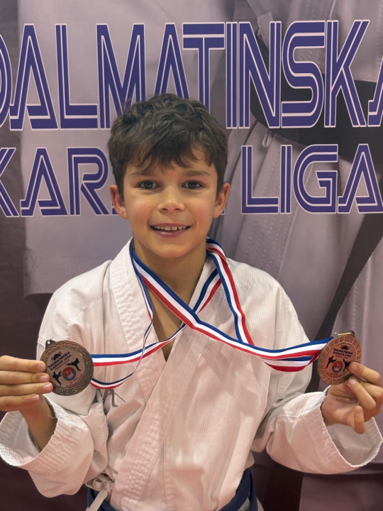 Dalmatinska karate liga