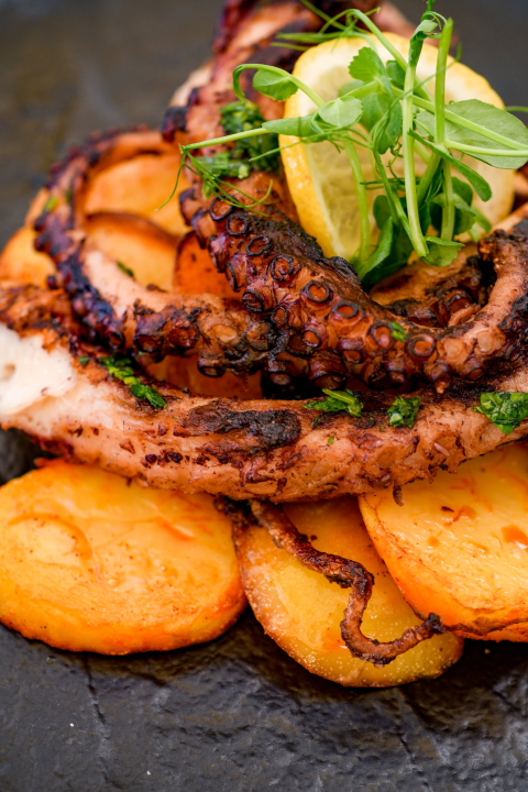 FOTO Božićni domjenci i proslave u prosincu u restoranu Pjat i Taverni hotela Jadran