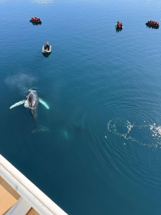 Šibenski planinari osvajaju Antarktiku: Članovi HPK sv. Mihovil stigli na najhladniji kontinent
