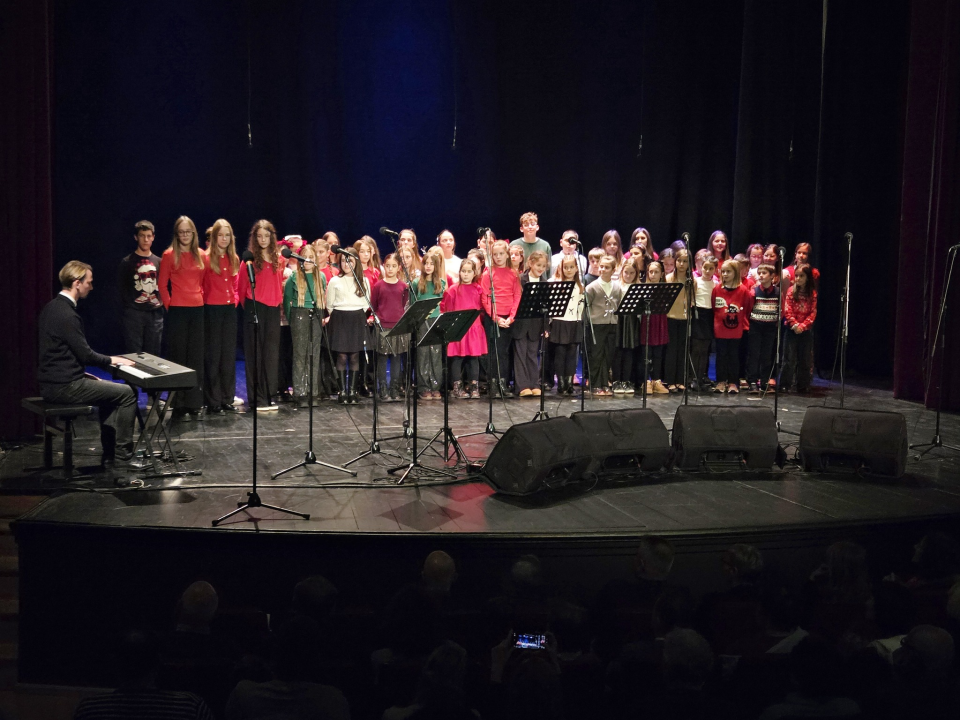 Održan 28. humanitarni koncert 'Zdravo, o zvijezdo mora'. Prihod namijenjen Udruzi Kamenčići 