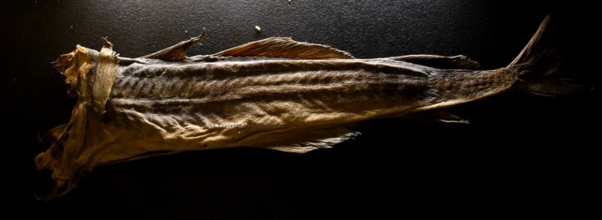 Božić za šibenskim stolom: (A)rambašići, bakalar i uspomene koje traju