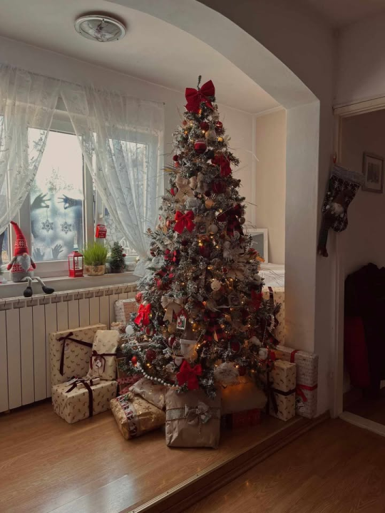 Odluka je pala: Donosimo vam pobjednike izbora najljepše božićne jelke ŠibenikIN-a