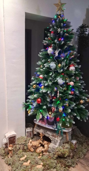 Odluka je pala: Donosimo vam pobjednike izbora najljepše božićne jelke ŠibenikIN-a